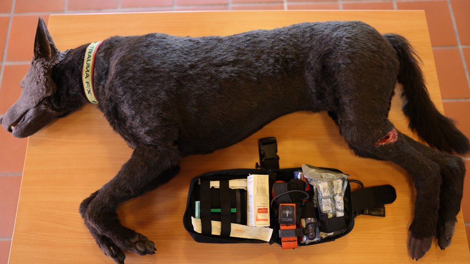 Polizeihund-Puppe und Erste-Hilfe-Set