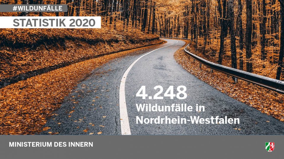 Autostraße, die durch einen herbstlichen Wald führt