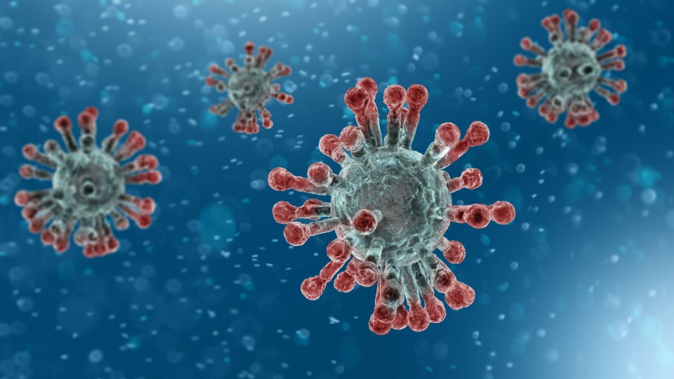 Mikriskopische Anischt des Coronavirus