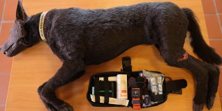 Polizeihund-Puppe und Erste-Hilfe-Set