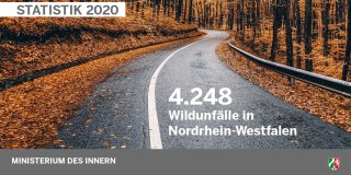 Autostraße, die durch einen herbstlichen Wald führt