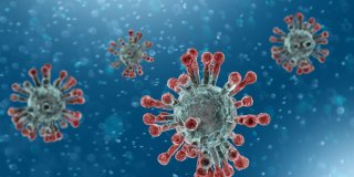 Mikriskopische Anischt des Coronavirus