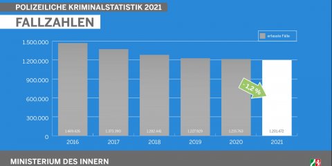 Polizeiliche Kriminalstatistik 2021 - Fallzahlen (Diagramm)