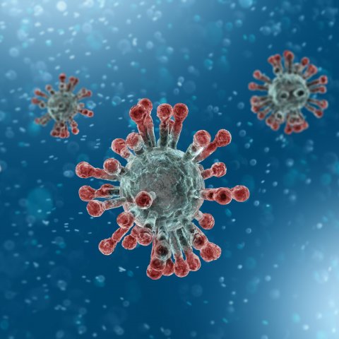 Mikriskopische Anischt des Coronavirus