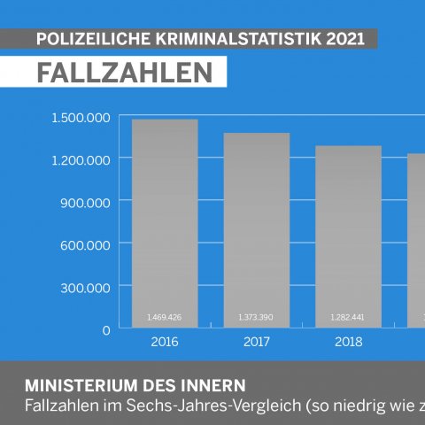 Polizeiliche Kriminalstatistik 2021 - Fallzahlen (Diagramm)